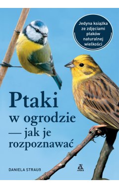 Ptaki w ogrodzie – jak je rozpoznawać