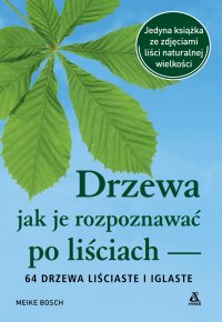 Drzewa – jak je rozpoznawać po liściach