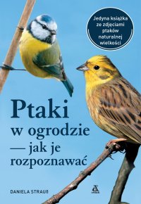 Ptaki w ogrodzie – jak je rozpoznawać